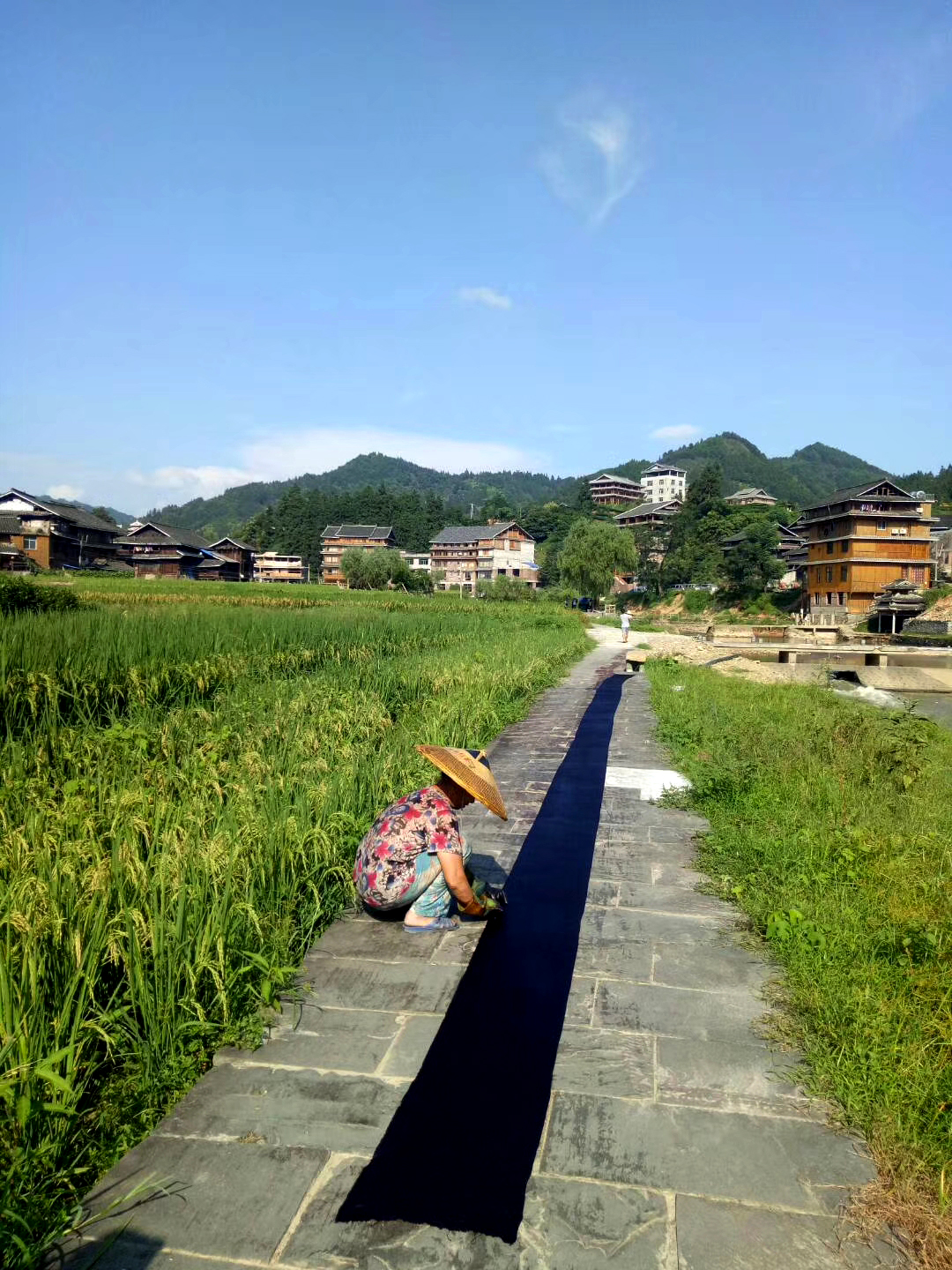冠洞村人口_人口普查(2)