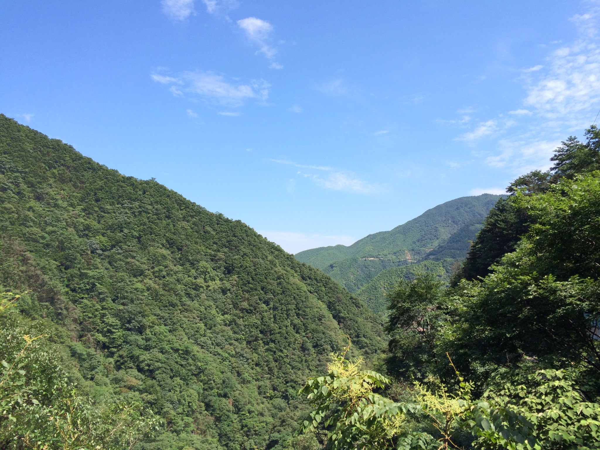 安吉旅游图片 安吉游记图片   原始图片 所有游记图片 65/70 龙王山