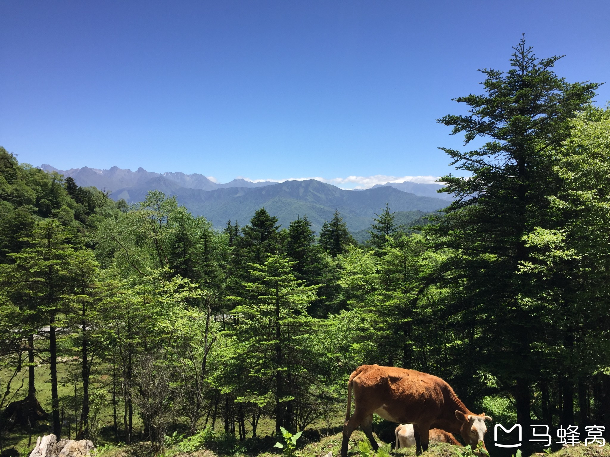 夏季两日洗肺自驾——东拉山,邓池沟,神木垒