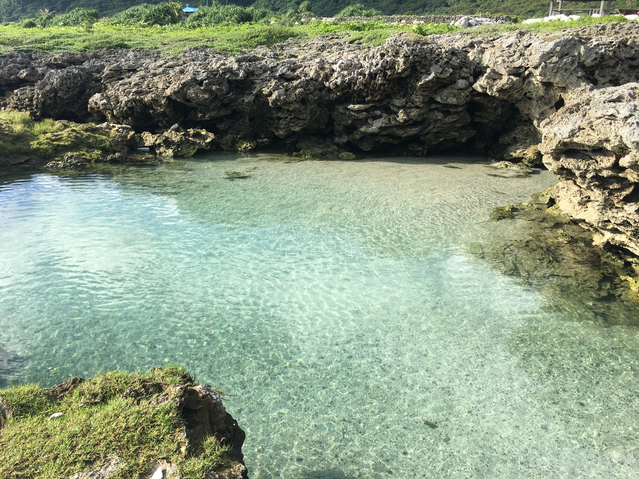 野银冷泉          