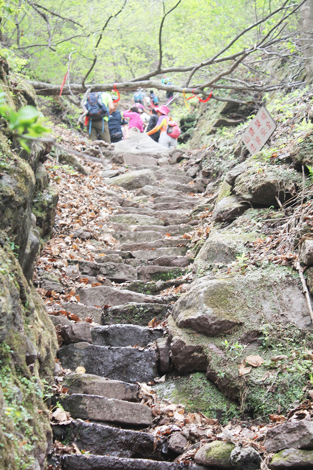 梅河口鸡冠山风景区游玩