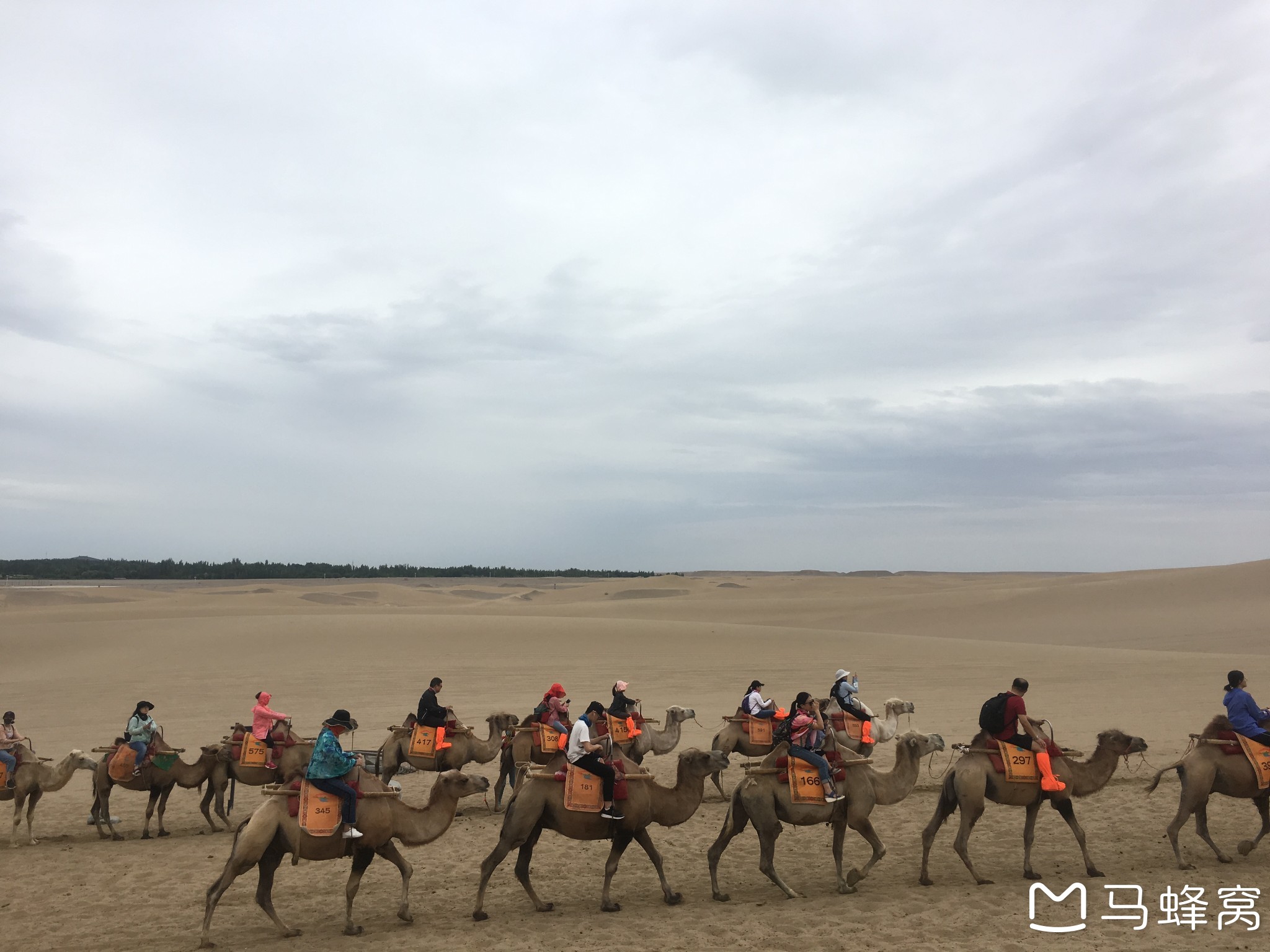 沙漠旅游适合怎么穿搭_沙漠骆驼图片(2)