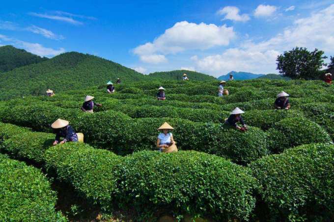 仙境恩施,出发之前先带上这篇实用攻略