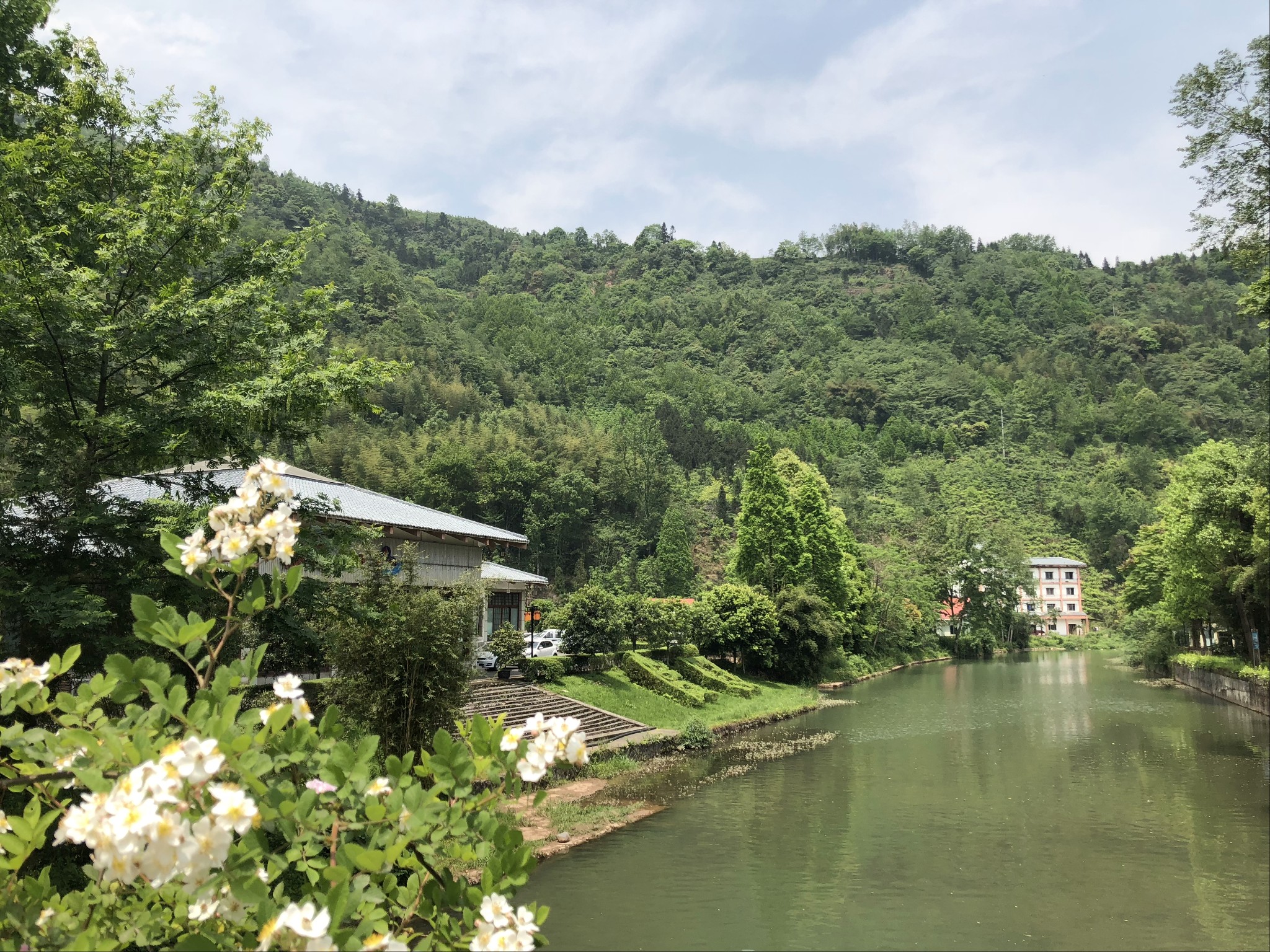 探秘花水湾/千佛山:绿野仙踪之旅!,大邑旅游攻略 - 马