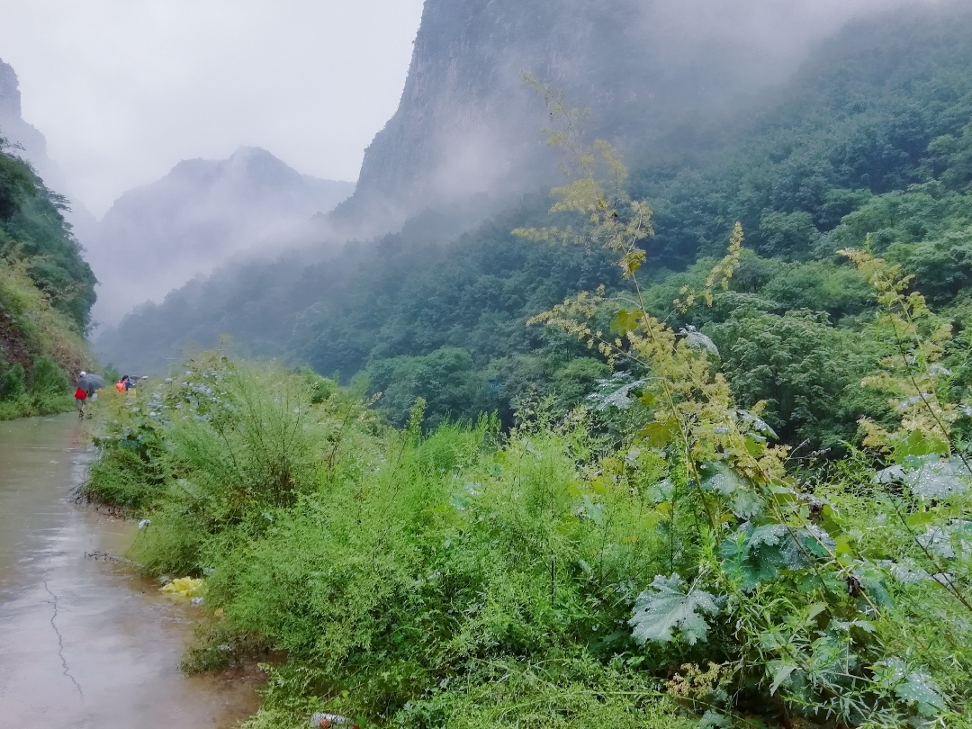 2018.8山西红豆杉大峡谷,武家湾避暑游玩