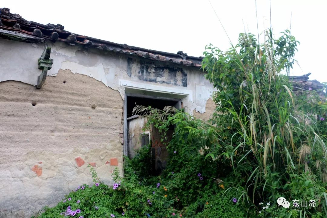 东山岛港西村除了中驰山庄,还有这些地方!,东山县()