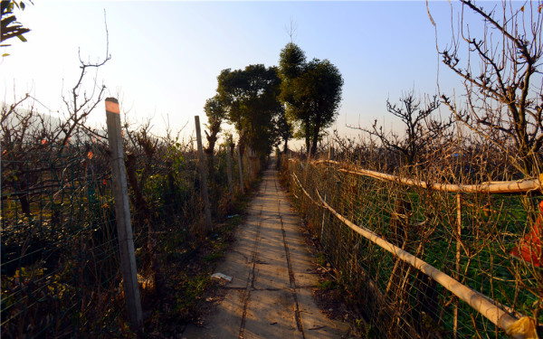 给树施肥应该离树多远 wKgBEFpM9_OAb_TiAAXb7D1UOxM55.jpeg?imageView2%2F2%2Fw%2F600%2Fh%2F600%2Fq%2F90