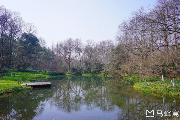 太子湾公园在什么地方 wKgBEFtxlj6AOgjOABOgyX0X00g86.jpeg?imageView2%2F2%2Fw%2F600%2Fh%2F600%2Fq%2F90