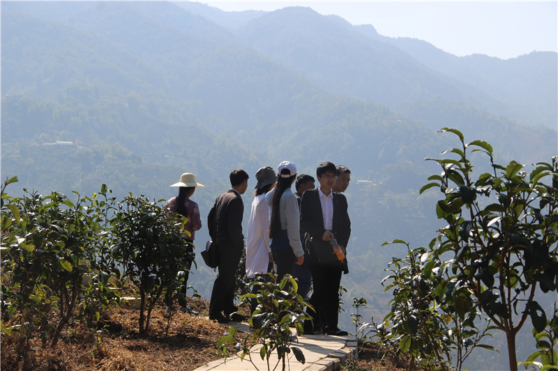 下一站茶山刘简谱_下一站茶山刘图片