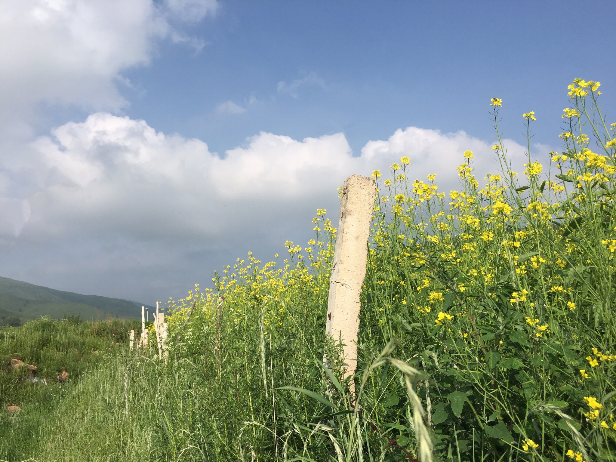 广州高山流水古筝曲谱(2)