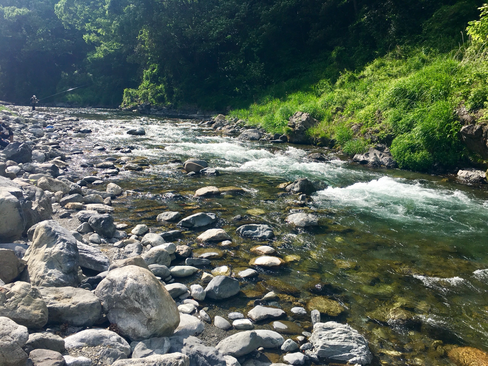 日本东京奥多摩秘境原始森林探访 御岳溪流钓鱼