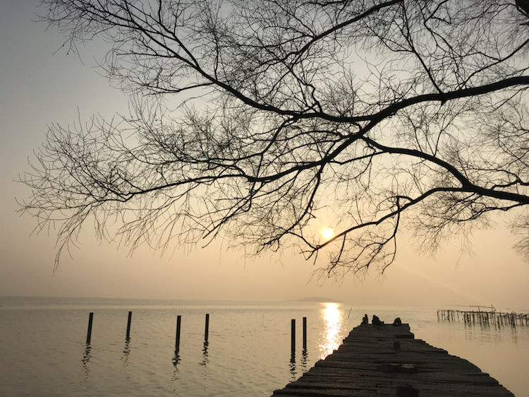 苏州古镇哪一个最值得一去?