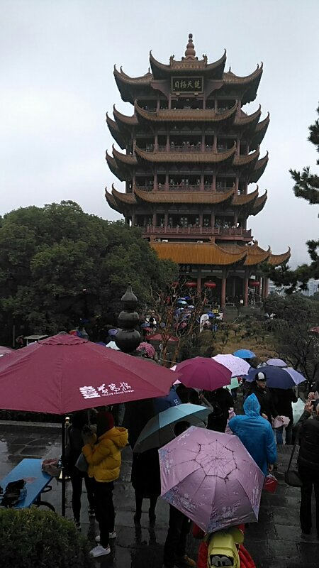 岳阳楼区gdp2018_岳阳楼区商场(2)