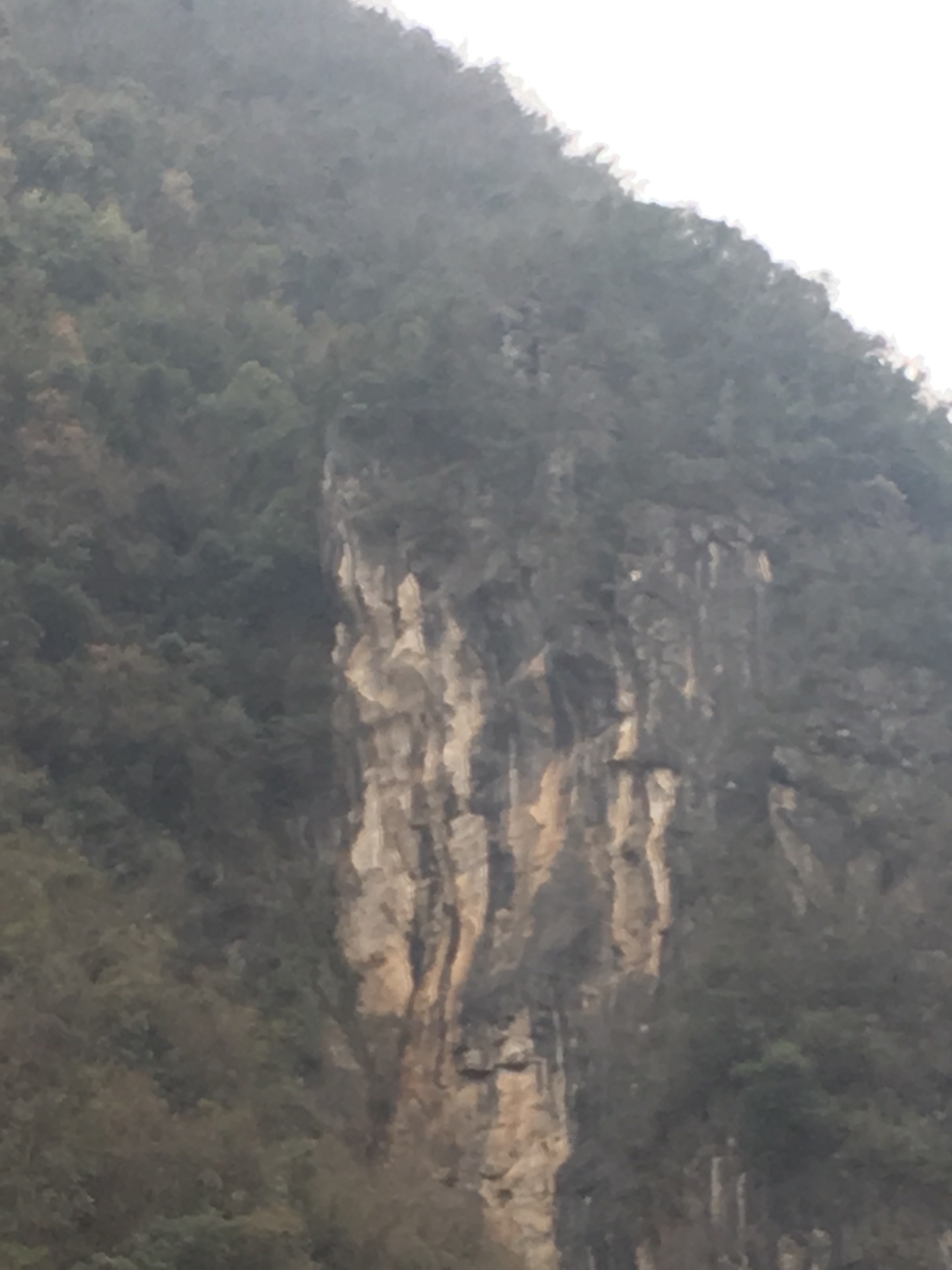 神农架山人口_神农架官门山图片(2)