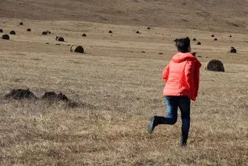 wKgBEFsL5jKAOwNrAABZChGzbsA57.jpeg?imageView2%2F2%2Fw%2F600%2Fh%2F600%2Fq%2F90