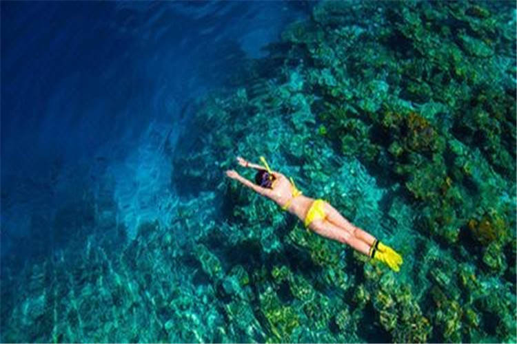 wKgBEFpQqyqAGhvqAAHPybjV-bU98.jpeg?imageView2%2F2%2Fw%2F510%2Fh%2F8000%2Fq%2F100