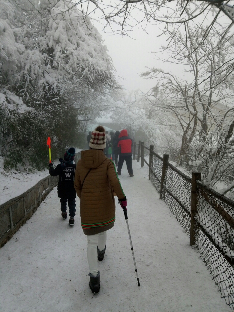 独照峨眉峰