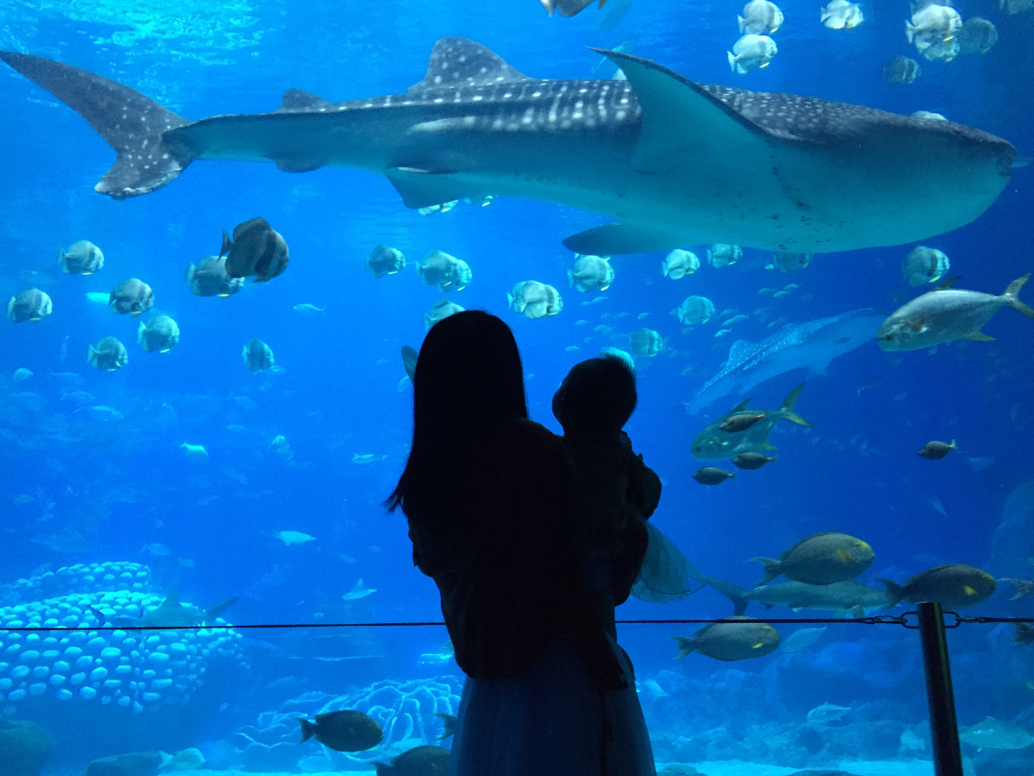 wKgBEFtdd1mABjPMAA0ag63rA3g59.jpeg?imageView2%2F2%2Fw%2F600%2Fh%2F600%2Fq%2F90