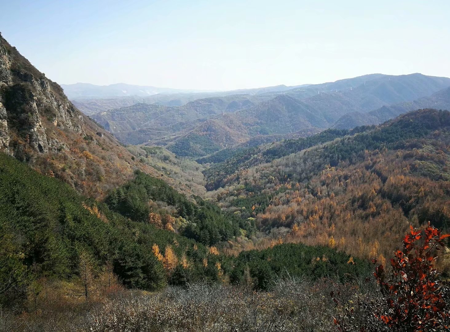太统山——我终于见到你的真容(散文)