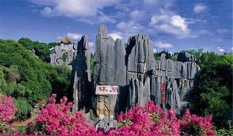 乐平怪石林景区电子票(随时退/2小时入园/体验千奇百怪石林)
