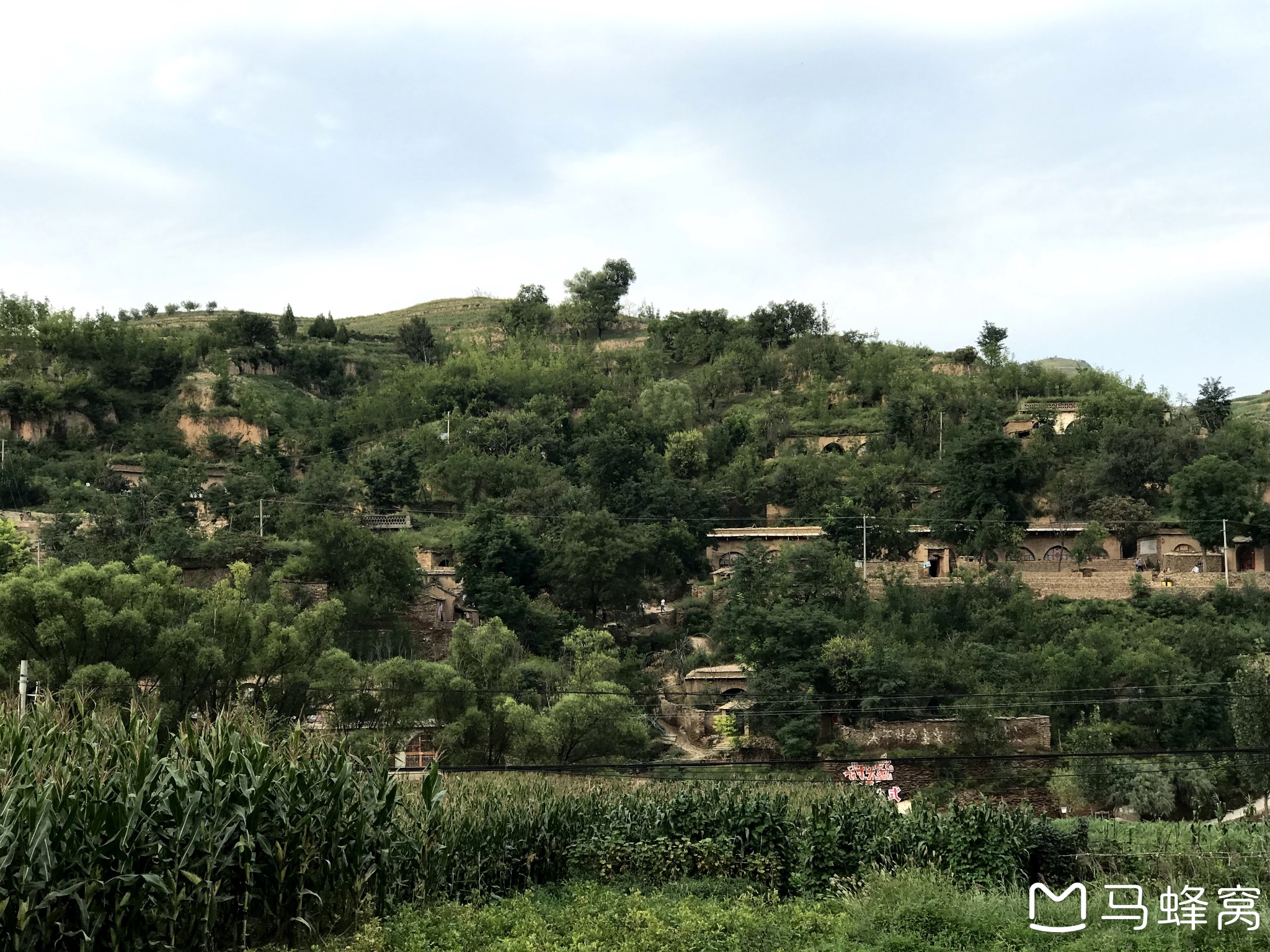 双水村 马蜂窝