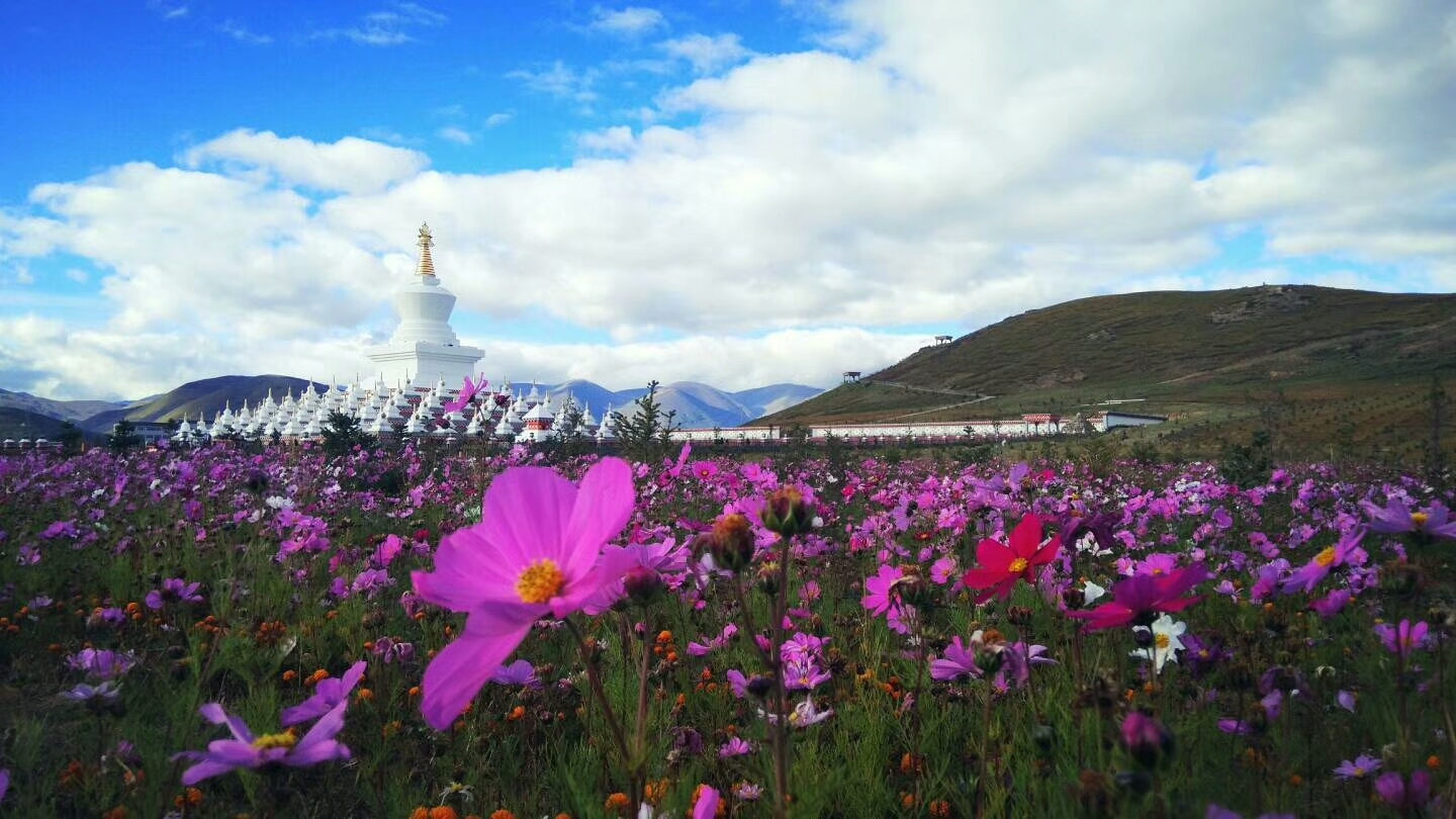 林芝地区县城人口排名_林芝地区旅游景点地图(2)