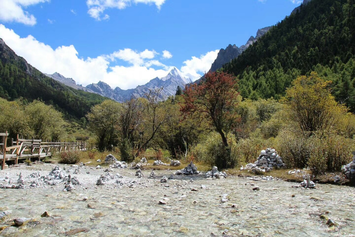 林芝地区县城人口排名_林芝地区旅游景点地图(2)