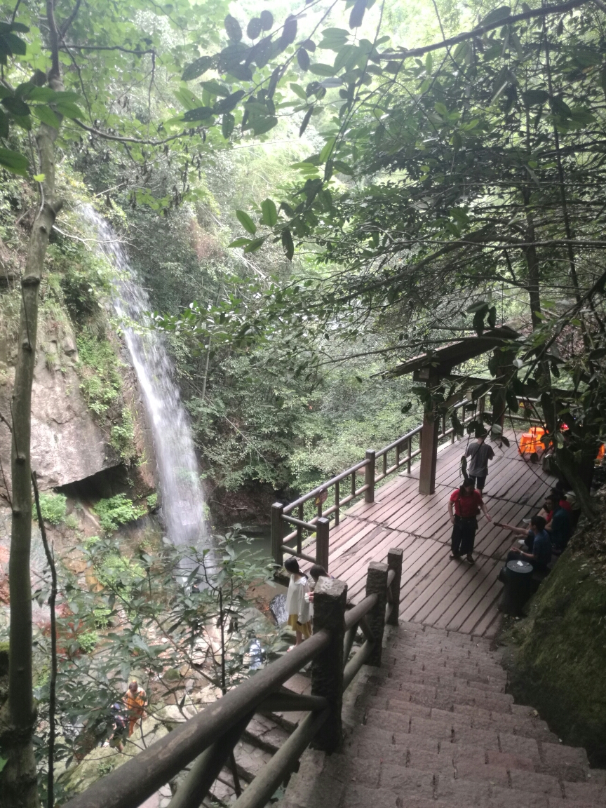 周末杭州自驾莫干山一日游,莫干山旅游攻略 - 马蜂窝