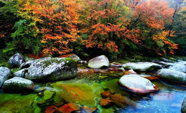 汉中黎坪森林公园一日游(含门票景区交通车 汉中市内起止 往返旅游车