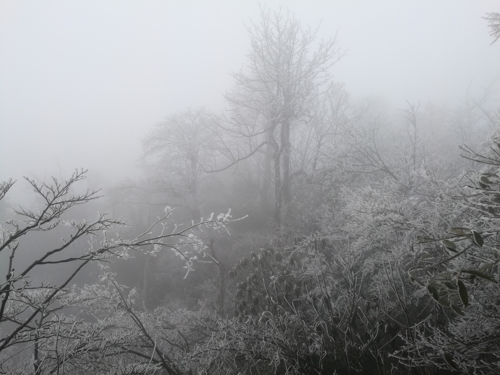 wKgED1w4ARqAPlr1AAm62k15AhI02.jpeg?imageView2%2F2%2Fw%2F600%2Fh%2F600%2Fq%2F90