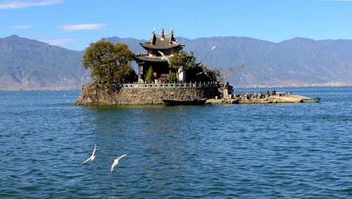 (深度环洱海 赠送服饰 海舌小马车体验 花语牧场骑行 海东挖色小普陀