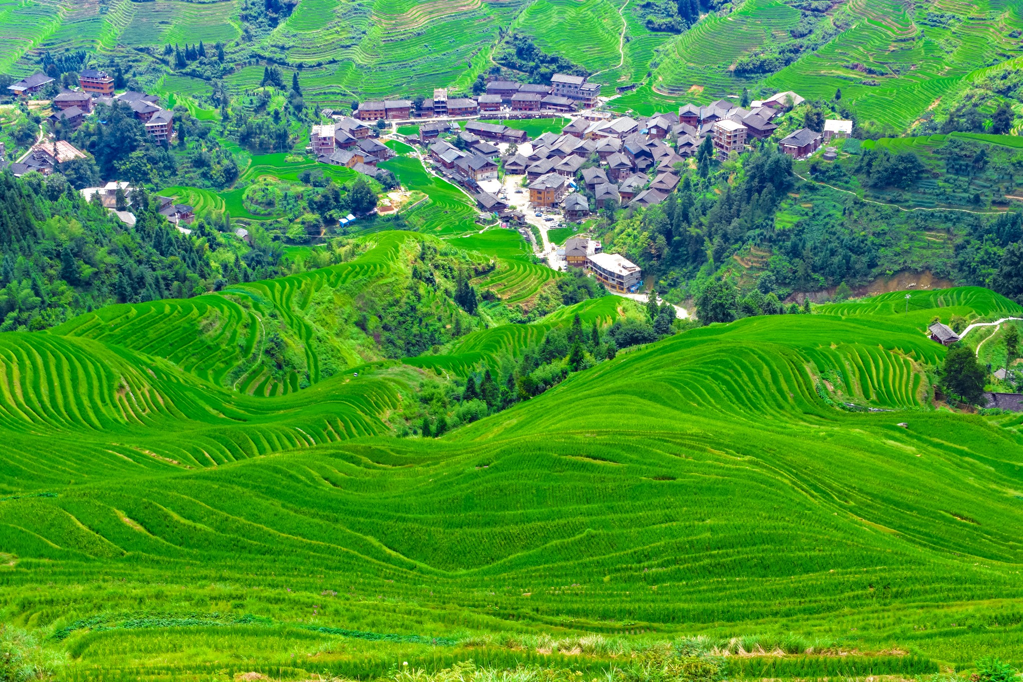 GuiLin LongSheng Rice Terraces Tour China ChengDu Tours Chengdu 