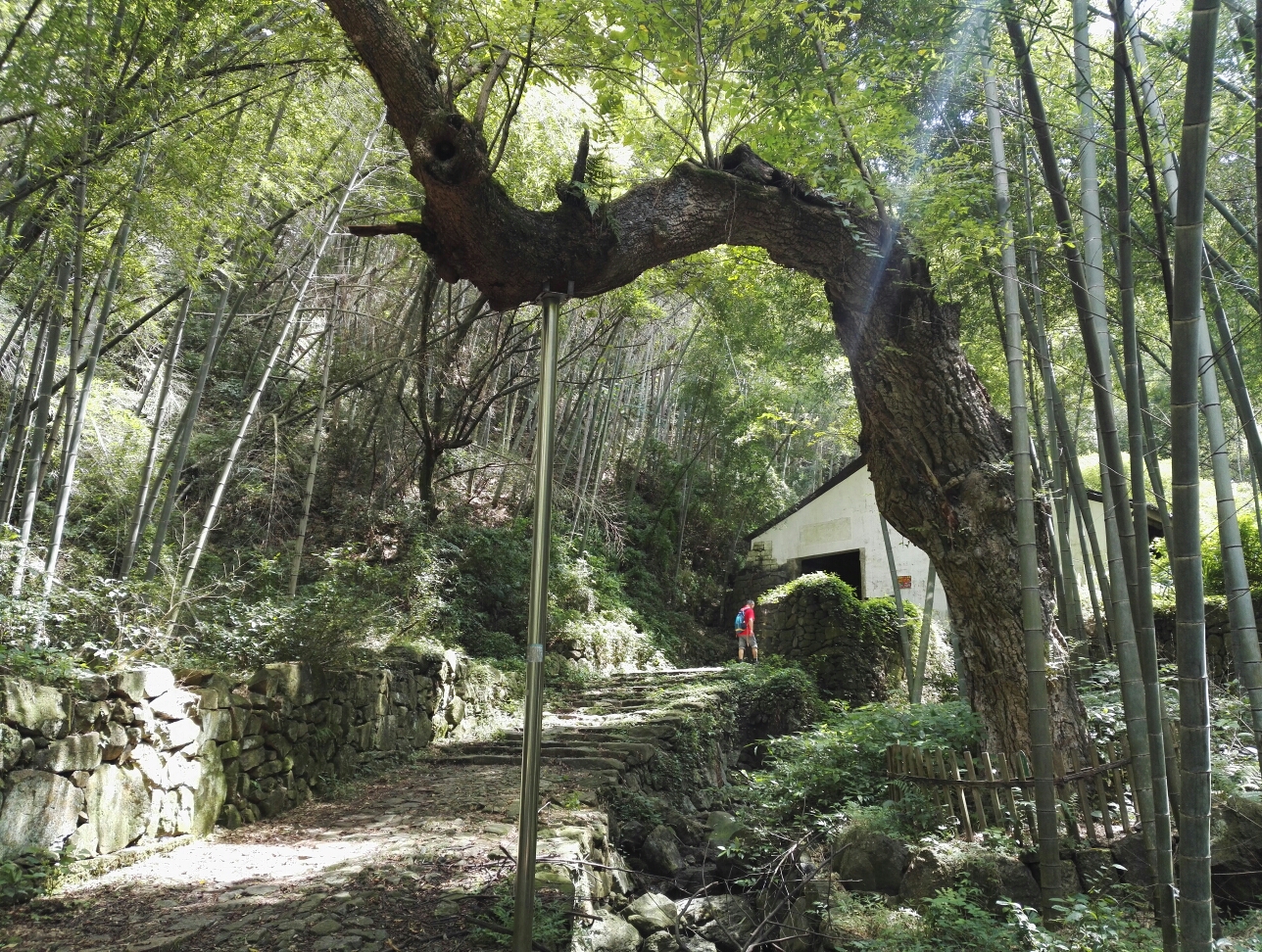 绍兴平水镇上青古道一上虞祝家村(英台故里),绍兴旅游