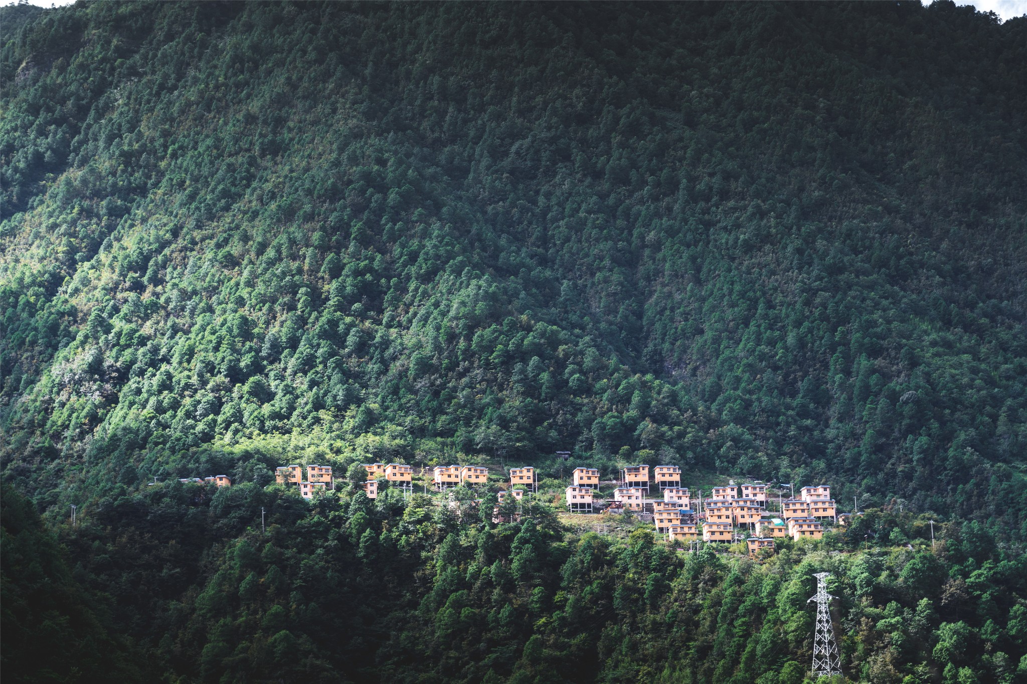 wKgED1vCAQWAV3zhAA_LeeYmH5E01.jpeg?imageView2%2F2%2Fw%2F600%2Fh%2F600%2Fq%2F90