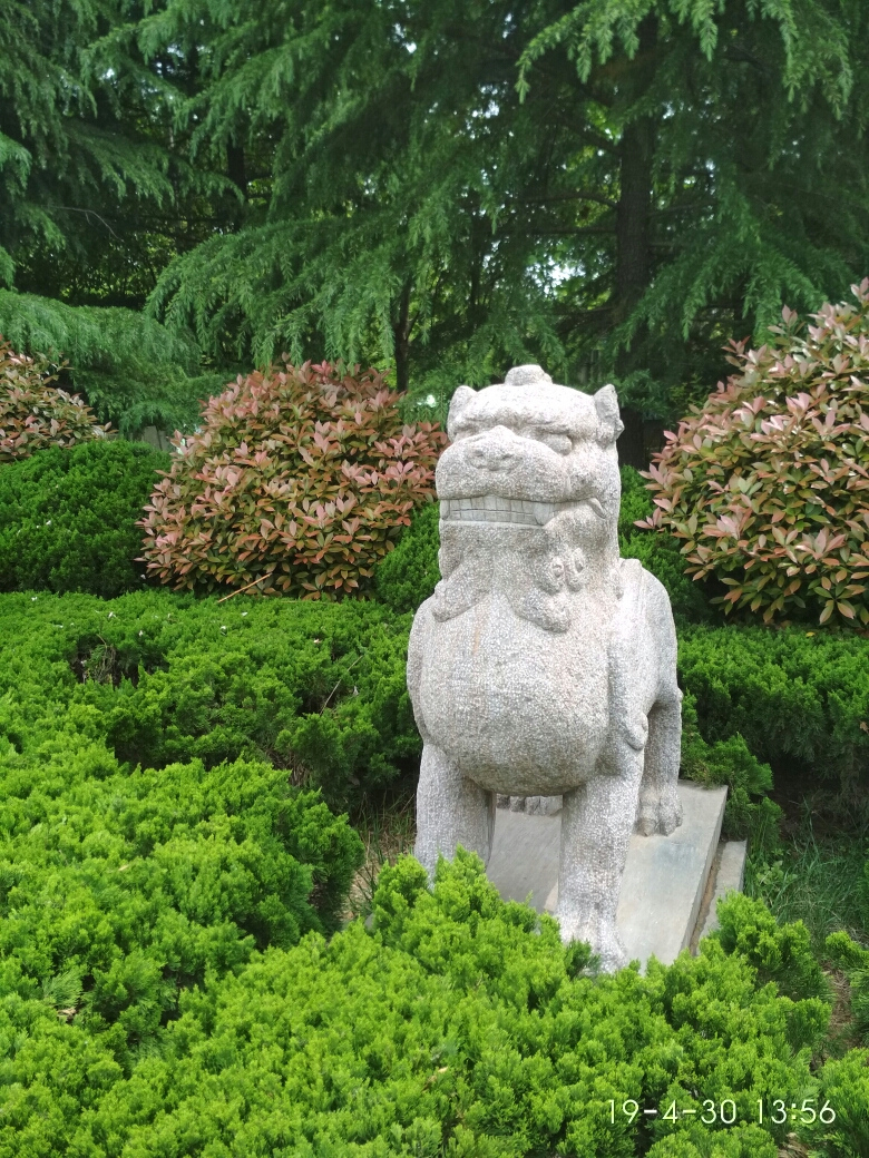 芒砀镇人口_腾冲芒棒镇红豆树村(2)