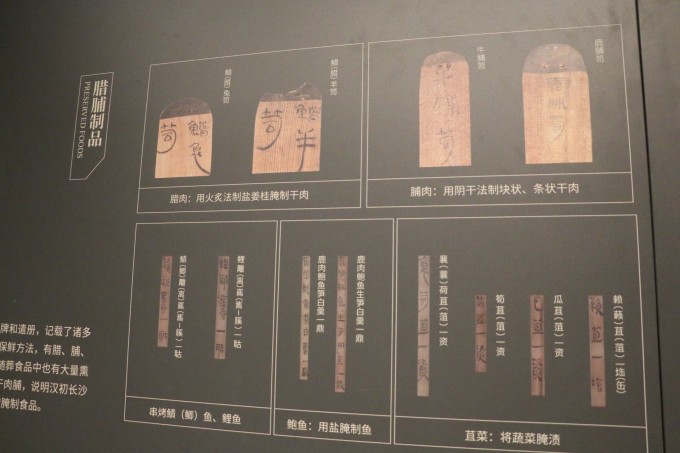 长沙马王堆汉墓刘邦辛追老公家族夫人简介与利苍辛追简介简介哪里能看到电视连续剧惊蛰图片