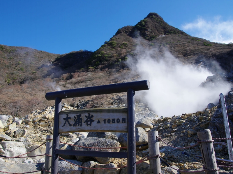 日本东京箱根大涌谷一日游(小田原城 玻璃之森美术馆