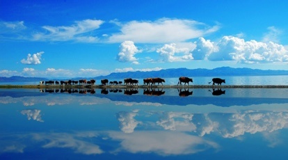 赛里木湖在哪个省 wKgEaVyphvKAfC6yAACZmmMnkZI50.jpeg?imageView2%2F2%2Fw%2F510%2Fh%2F8000%2Fq%2F100