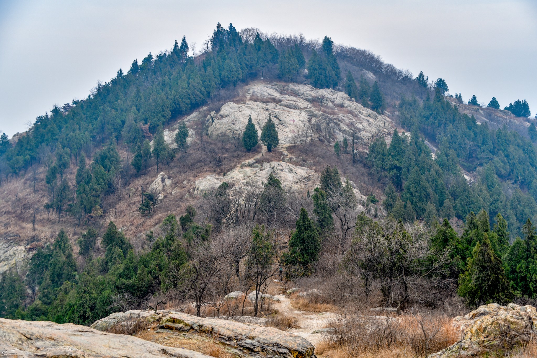 成语淮什么山_木淮是什么蛙(4)