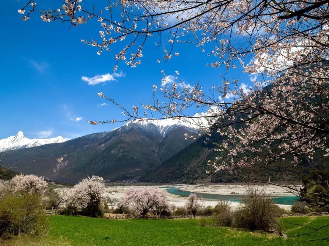 wKgEaVytoouAOj5QAANpn3CCLBQ85.jpeg?imageView2%2F2%2Fw%2F600%2Fq%2F90%7CimageMogr2%2Fstrip%2Fquality%2F90
