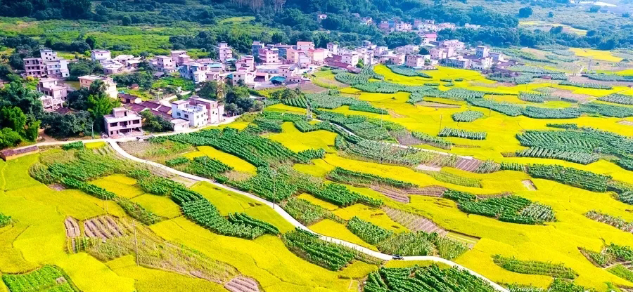 去从化游玩攻略,去从化游玩攻略图