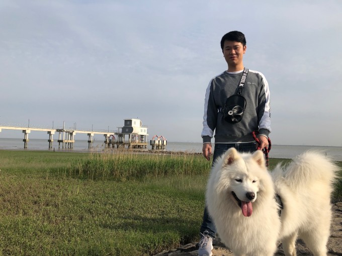 带宠物游玩攻略,带宠物游玩攻略大全