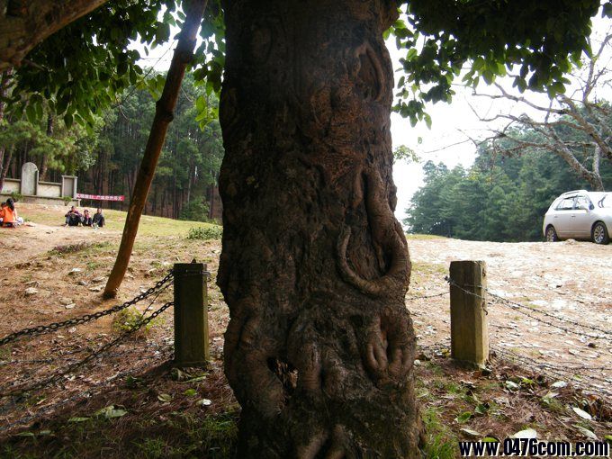 龙陵多少人口_李白新皮肤龙陵图片