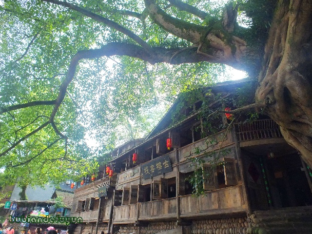 洪雅县城人口_洪雅县城照片(2)