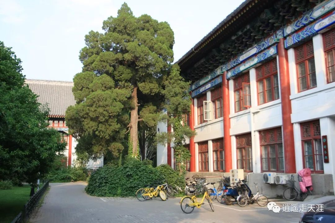 其实,现在的北京大学燕园校区,是原来燕京大学的校址.