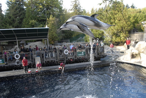 温哥华水族馆