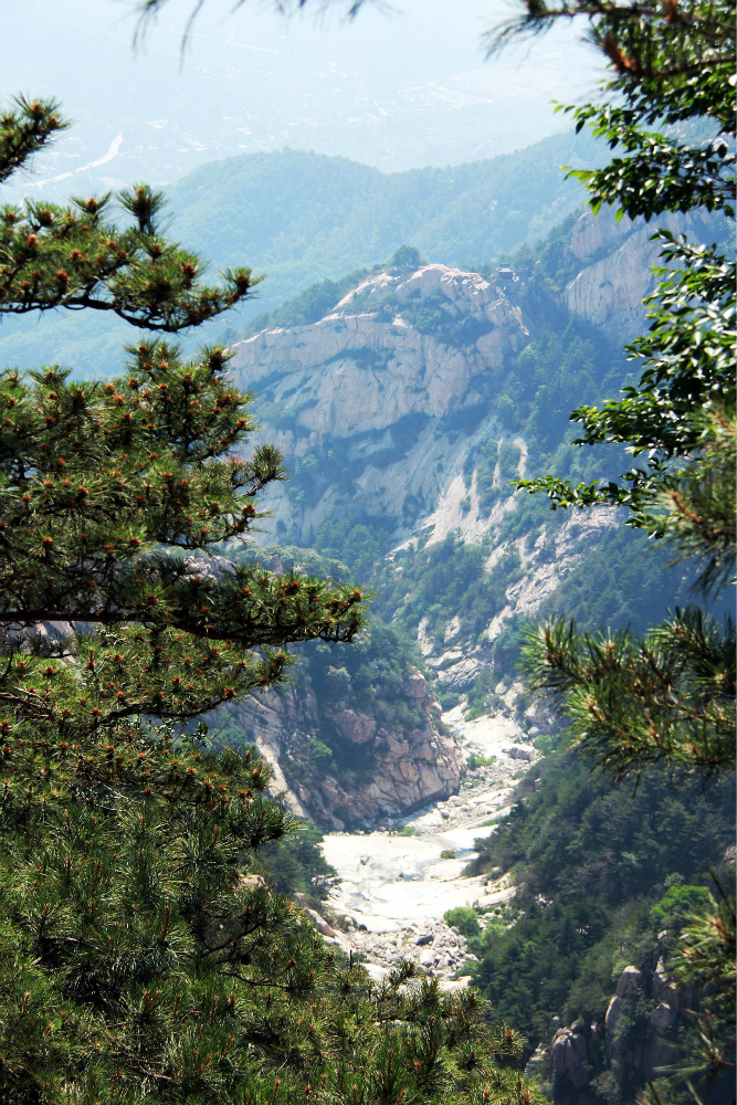 山东省旅游 泰山旅游攻略 五大名山系列: 泰安之旅- 夜登泰山 (红门