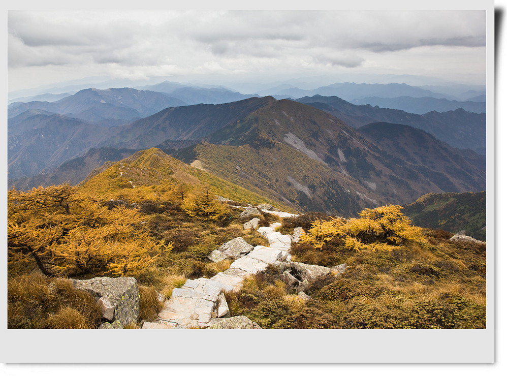 wKgByU-rp52nyHOjAAQ-4aXc-rs17.jpeg?imageView2%2F2%2Fw%2F600%2Fh%2F600%2Fq%2F90