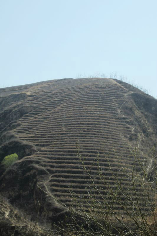 吴堡县和柳林县GDP_柳林 地理