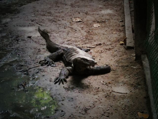 马来西亚沙巴游记攻略,沙巴自助游攻略